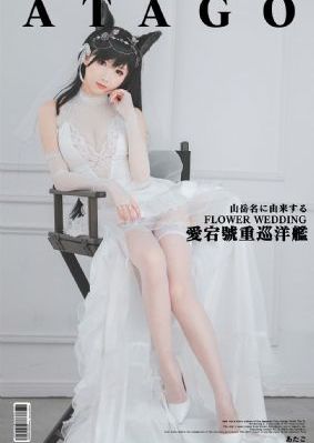 大地视频在线观看
